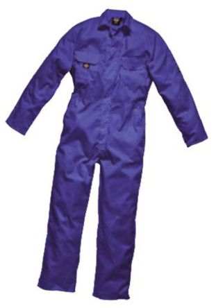 Dickies - WD4879 RB Smll 36-38R - Dickies WD4879 RB Smll 36-38R 38in ɫ  ޣPETPTFE 幤		