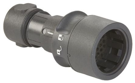 Bulgin - PXP6010/16S/CR/0910 - Bulgin 6000 ϵ 16· °װ ֱ  ͷ PXP6010/16S/CR/0910, ĸ, ʽӺ		