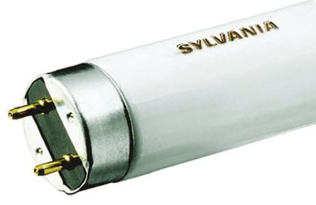 Sylvania - 0001078 - Sylvania 30 W T8ߴ չɫ ӫ 0001078, 6000Kɫ, 2300 lm, G13		