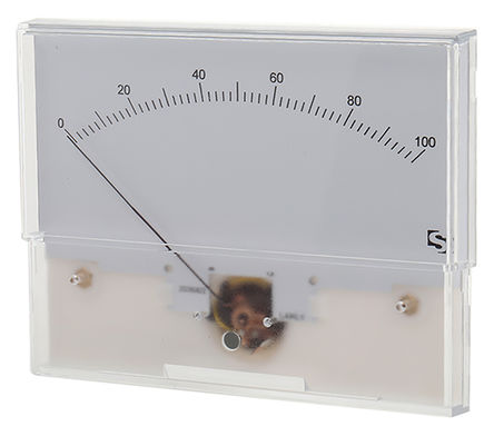 Sifam - IS 11019 - Sifam Tinsley 100A ֱ ģ IS 11019, 124mm  x 30.2mm , ȷ 2.5 %		