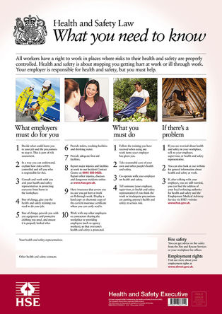 Signs & Labels - HSE1 - Signs & Labels HSE1 Ӣ PVC "밲ȫ" ȫͼ, 415 x 595mm		