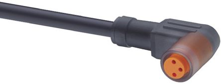 Lumberg Automation - RKMW 3-06/2 M - Lumberg Automation RKMW 3-06/2 M 2m M8 ĸ 		