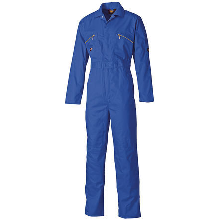 Dickies - WD4839   RB 42R - Dickies WD4839 RB 42R 42in ɫ/ɫ  ޣPET 幤		