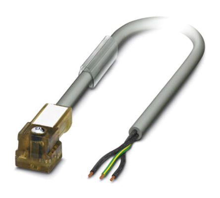 Phoenix Contact - 1696219 - Phoenix Contact 1696219 10m  C 3  º		