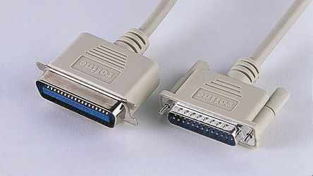 Roline - 11.01.1090-20 - Roline 9m е 11.01.1090-20,  DB25  Male C36		