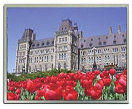 Mitsubishi - AA104XD12 - Mitsubishi 10.4in  TFT ʾ, 1024 x 768pixels ֱ XGA, LED LVDS ӿ		