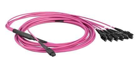 Rosenberger - L98E-034-1000 - Rosenberger 500mm IP50 ɫ ˵ L98E-034-1000 OM4 MTP 12 ʽ		