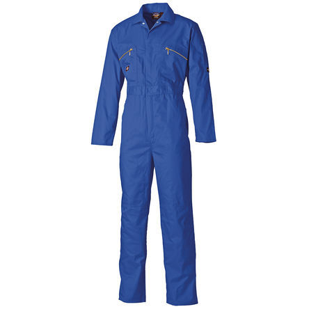 Dickies - WD4839   RB 36R - Dickies WD4839 RB 36R 91cm ɫ/ɫ  ޣPET 幤		