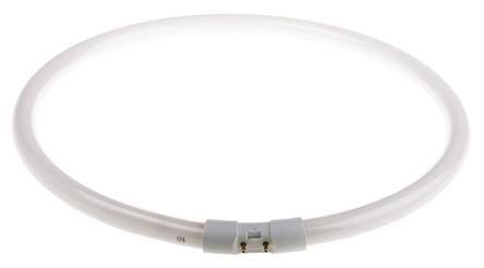 Osram - FC 40 W/840 2GX13 - Osram LUMILUX ϵ 40 W ɫ ӫ 4050300528526, 4000Kɫ, 85 lm		