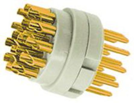 Harting - 09152172603 - Harting R23 ϵ 0915 17· ͨ ֱ   09152172603, 		