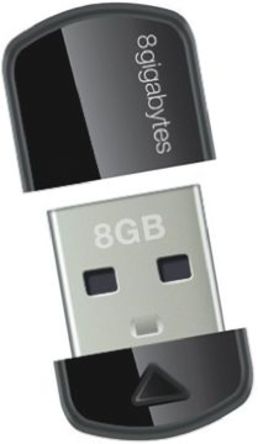Lexar - LEHZX8GBBBEU - Lexar 8 GB USB 2.0 U, ߼ܹ		