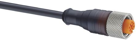 Lumberg Automation - RKT 4-3-224/2 M - Lumberg Automation RKT 4-3-224/2 M 2m M12 ĸ 		