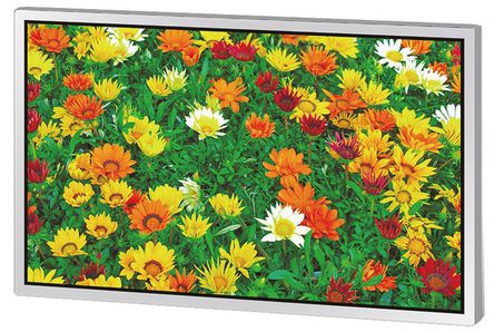NLT - NL12280BC20-05D - TFT LCD, 12.1in wide WXGA 1280x800		