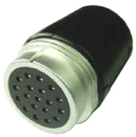 Amphenol - SLFFDR419AR - Amphenol SL ϵ 19· °װ ֱ   SLFFDR419AR, ĸ, ݶ̶Ӻ		