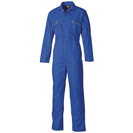 Dickies - WD4839   RB 38R - Dickies WD4839 RB 38R 38in ɫ/ɫ  ޣPET 幤		